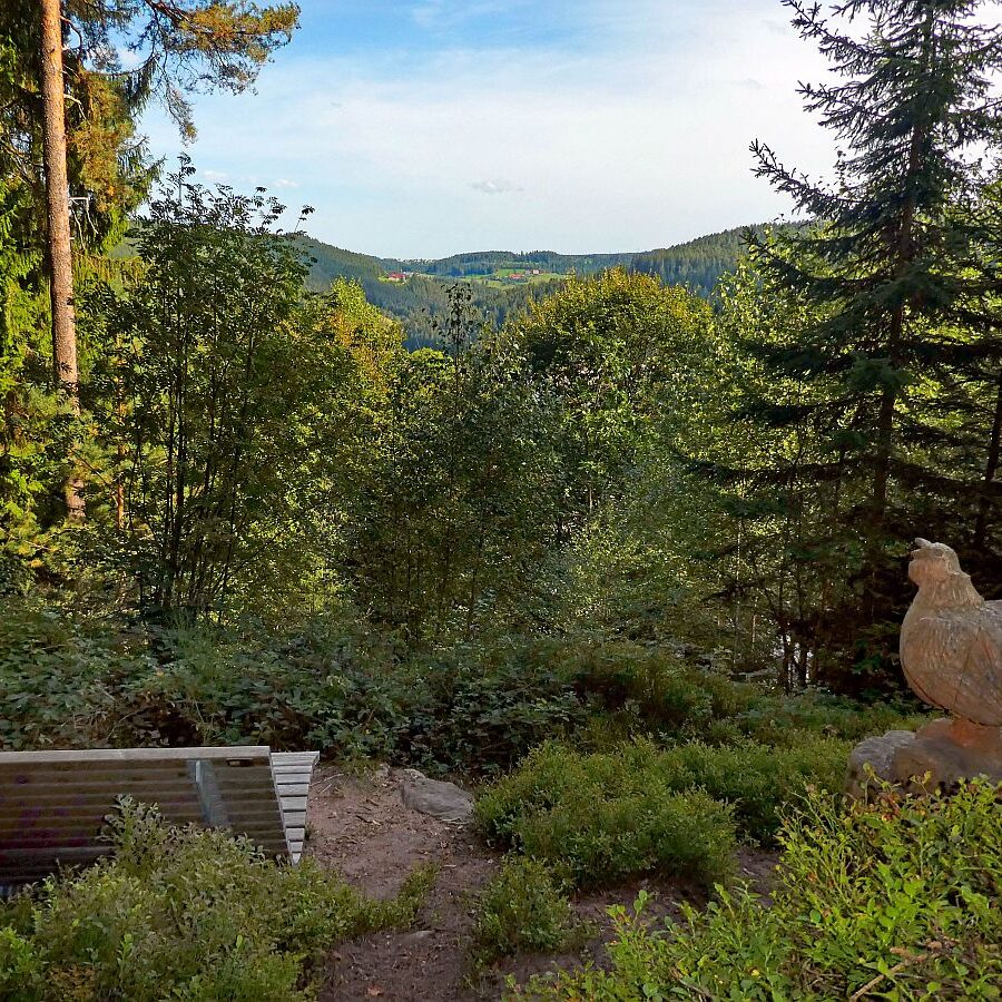 Dorfblickrunde Tennenbronn UntermWald Gersbach AufdemBerg 24