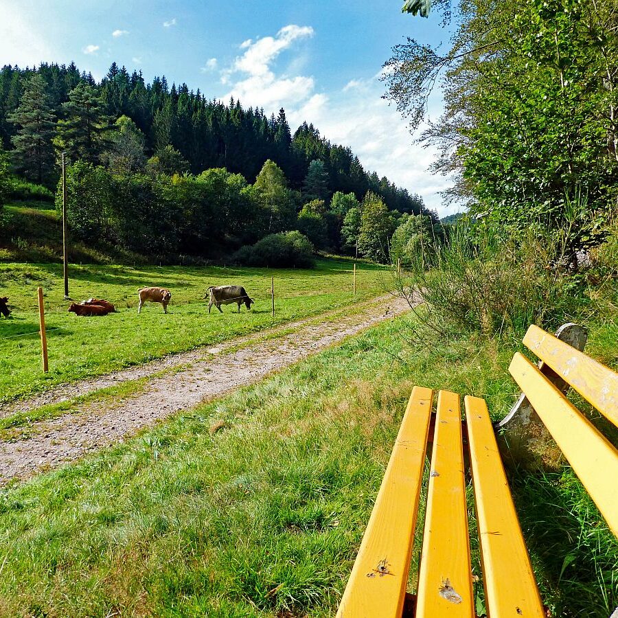 Dorfblickrunde Tennenbronn UntermWald Gersbach AufdemBerg 27
