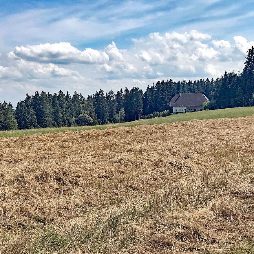 Gersbach Oehle Windkapf Tennenbronn 1