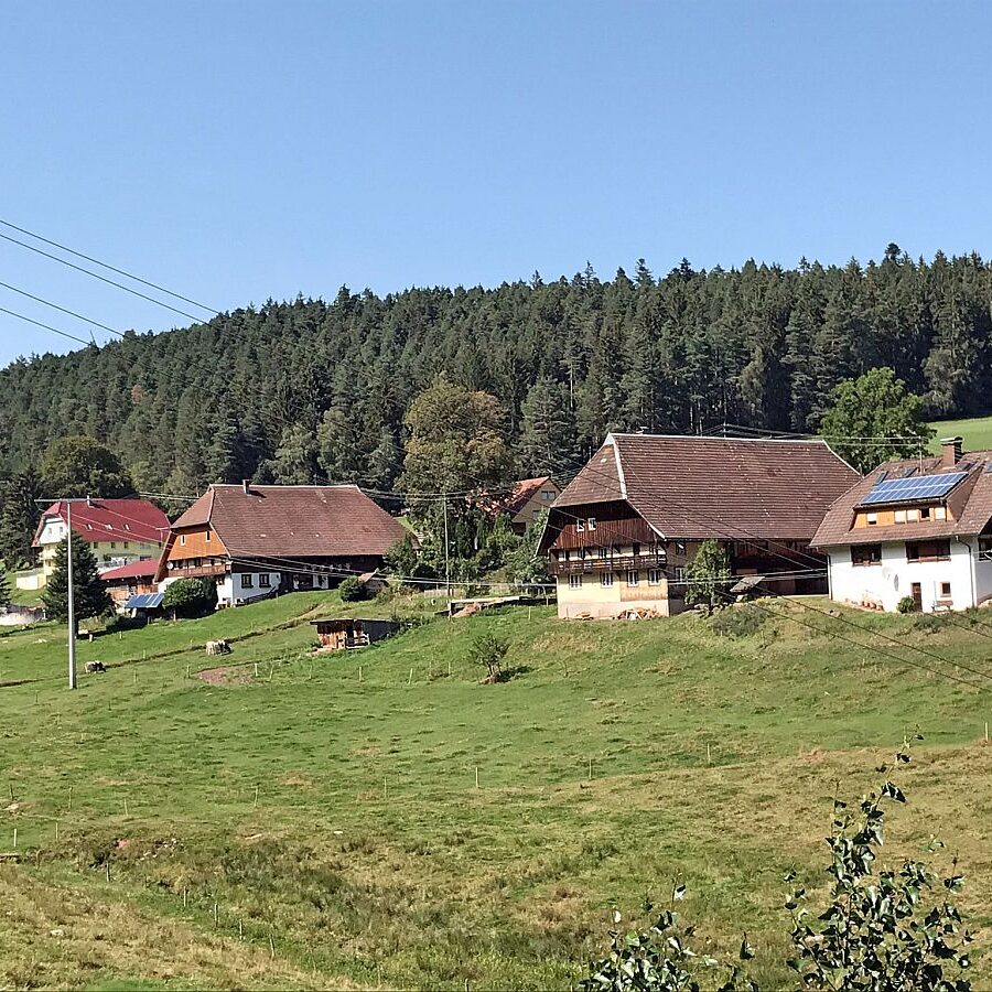 Gersbach Oehle Windkapf Tennenbronn 11