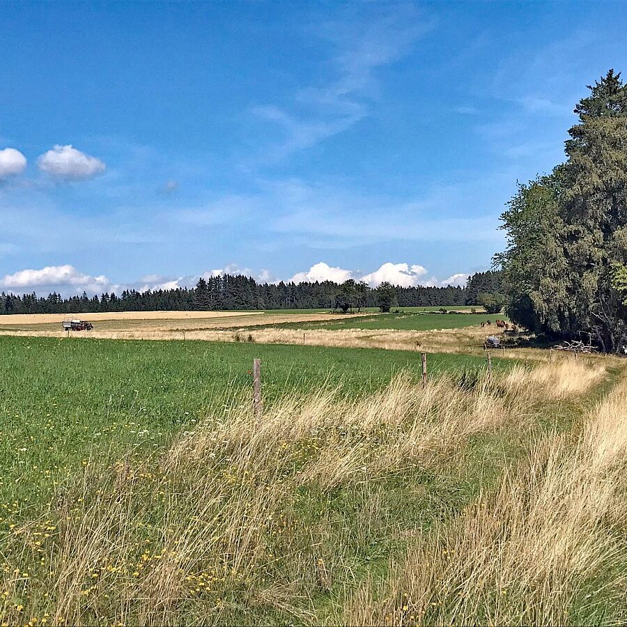 Gersbach Oehle Windkapf Tennenbronn 6