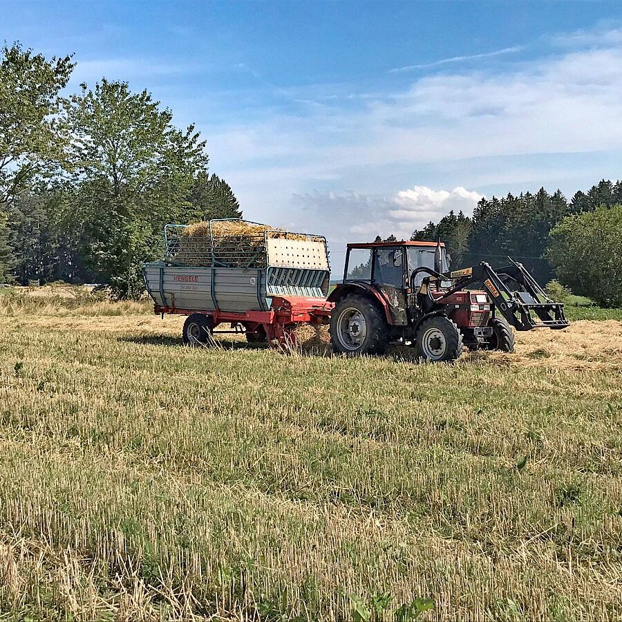 Gersbach Oehle Windkapf Tennenbronn 7