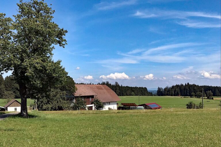 Gersbach Oehle Windkapf Tennenbronn 8
