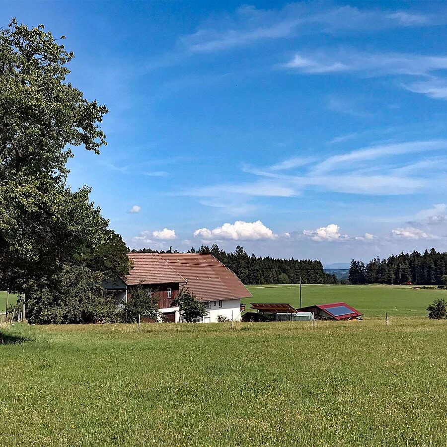 Gersbach Oehle Windkapf Tennenbronn 8