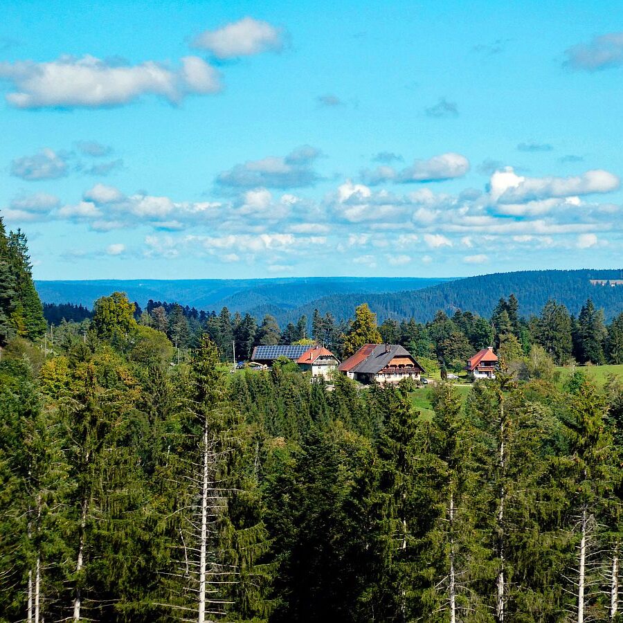Vom Ramstein in Tennenbronn nach Schramberg 03