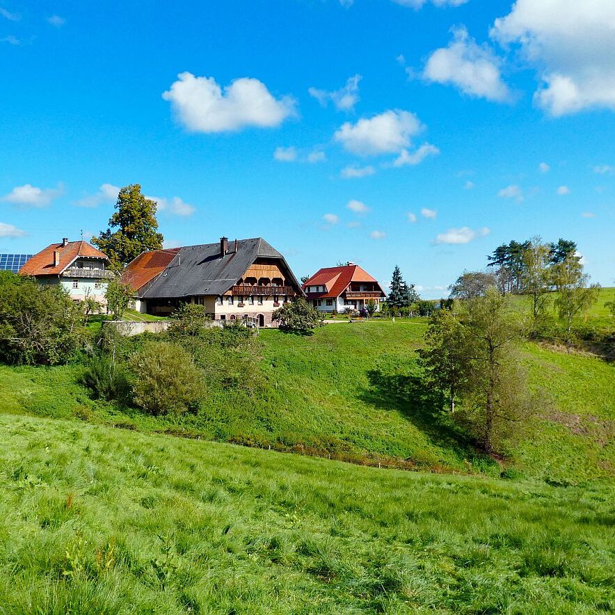 Vom Ramstein in Tennenbronn nach Schramberg 05
