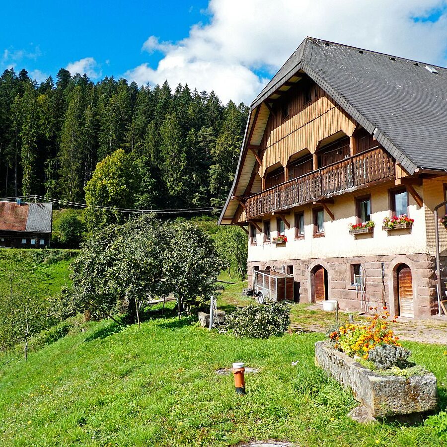 Vom Ramstein in Tennenbronn nach Schramberg 07