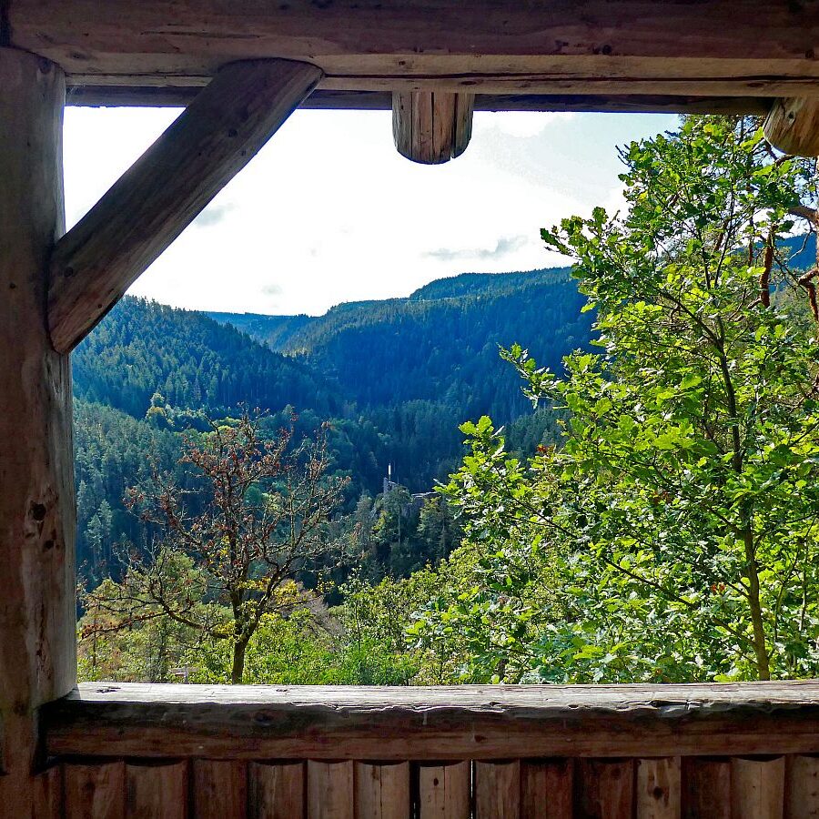 Vom Ramstein in Tennenbronn nach Schramberg 08