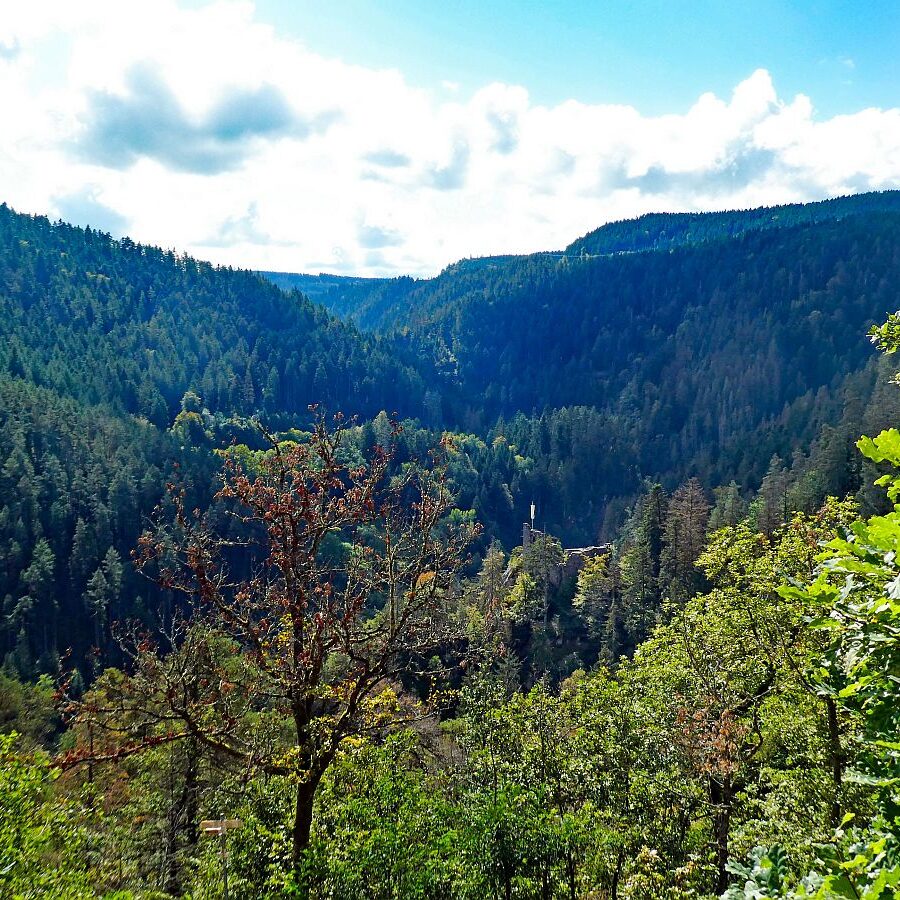 Vom Ramstein in Tennenbronn nach Schramberg 09
