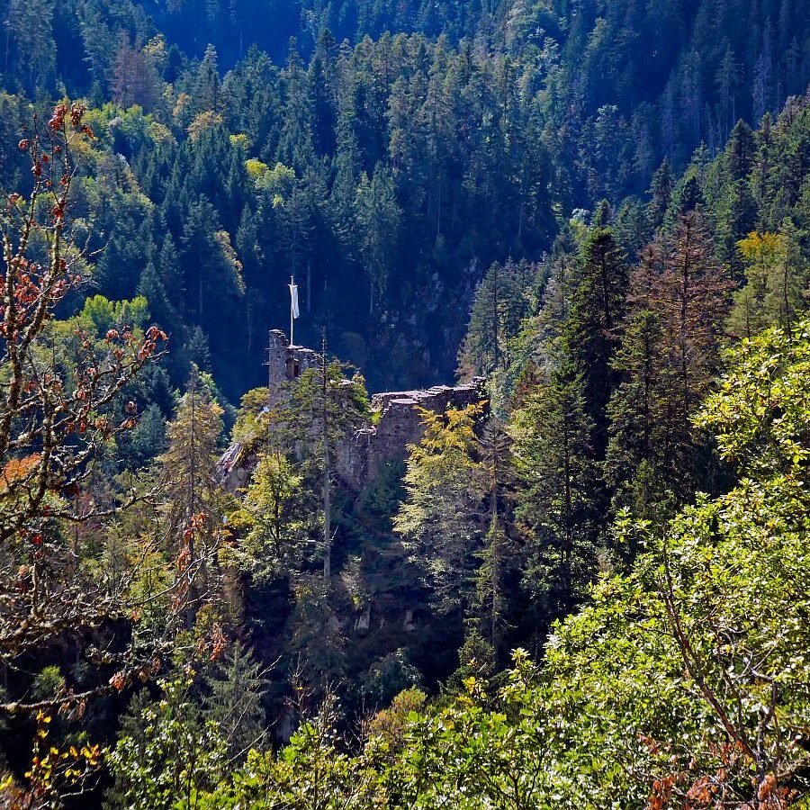Vom Ramstein in Tennenbronn nach Schramberg 10