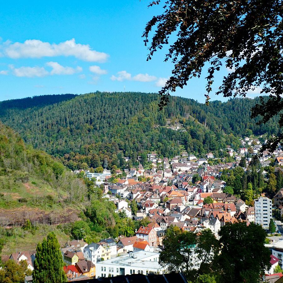 Vom Ramstein in Tennenbronn nach Schramberg 12