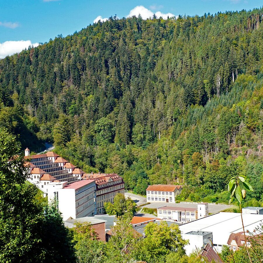 Vom Ramstein in Tennenbronn nach Schramberg 13