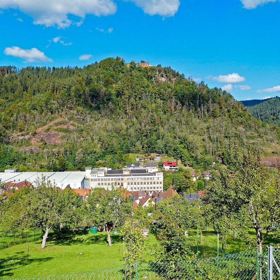 Vom Ramstein in Tennenbronn nach Schramberg 14