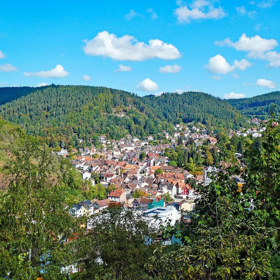 Vom Ramstein in Tennenbronn nach Schramberg 15