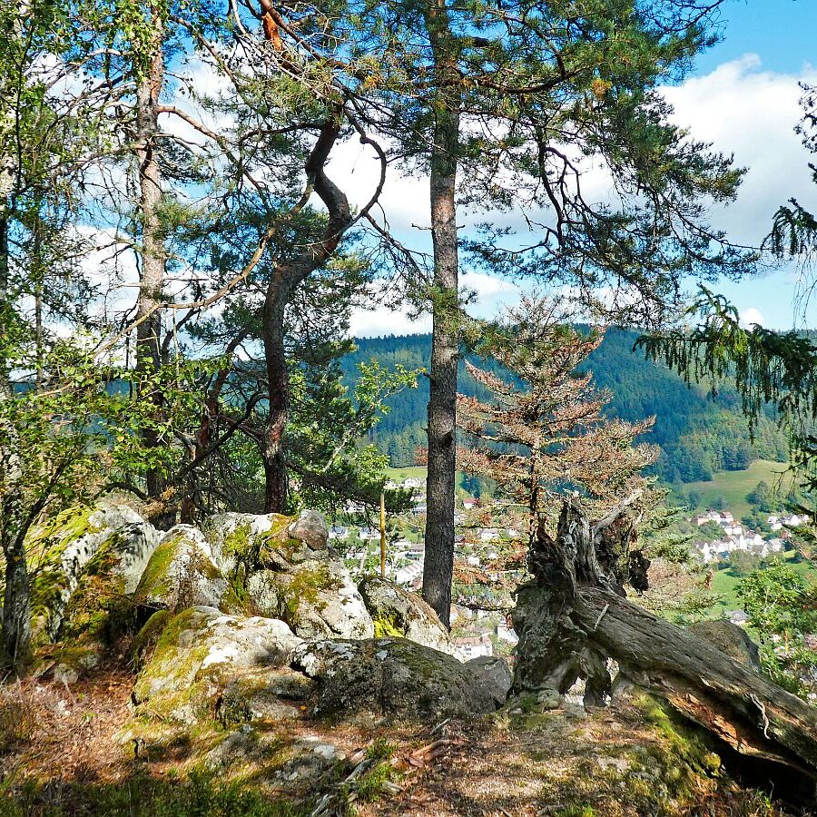 Hinterer Ramstein Berneck 01