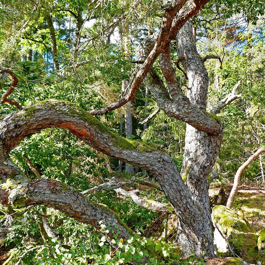 Hinterer Ramstein Berneck 02