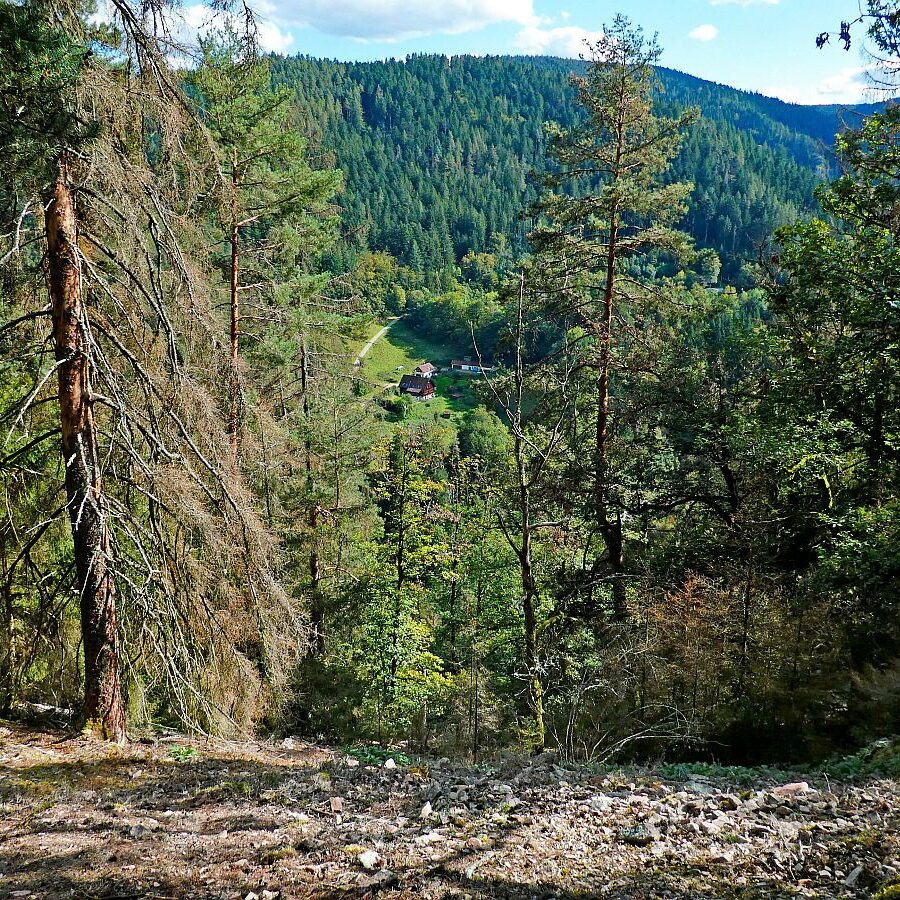 Hinterer Ramstein Berneck 03