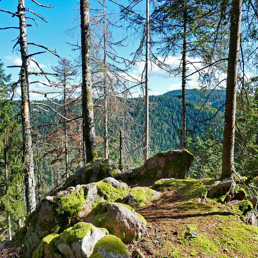 Hinterer Ramstein Berneck 06