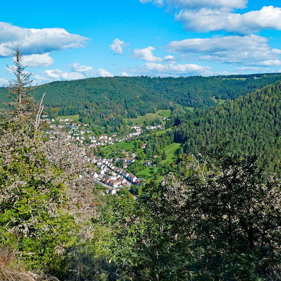 Hinterer Ramstein Berneck 07