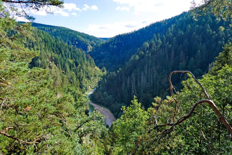 Hinterer Ramstein Berneck 08