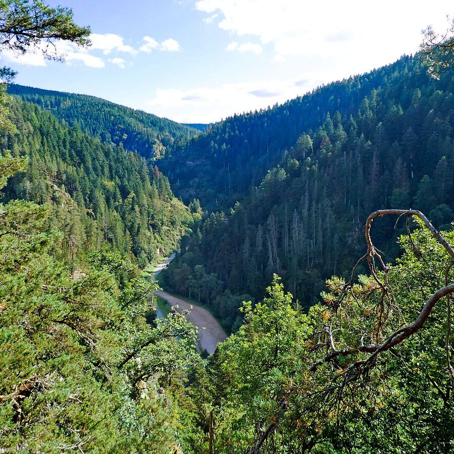 Hinterer Ramstein Berneck 08