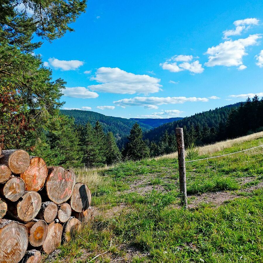 Hinterer Ramstein Berneck 10