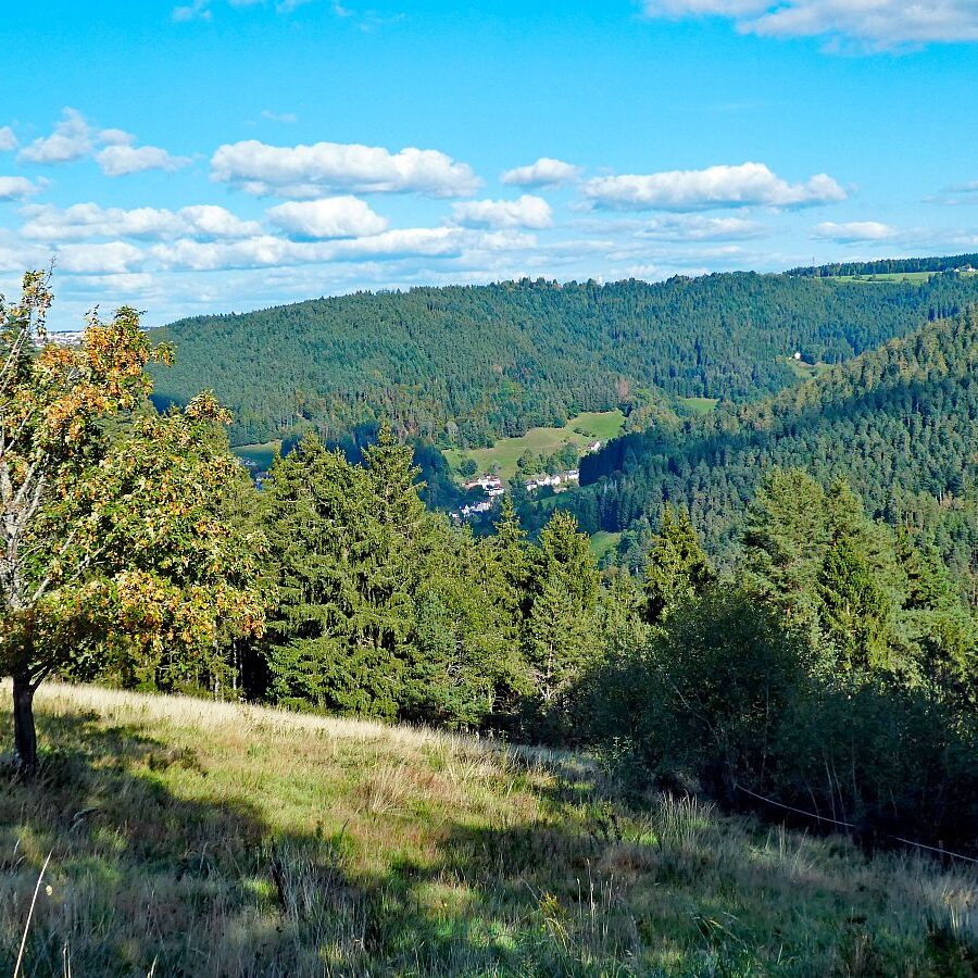 Hinterer Ramstein Berneck 11