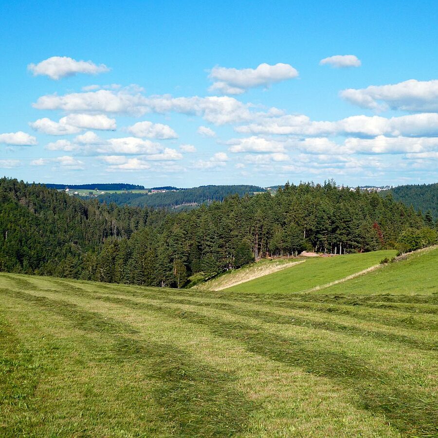 Hinterer Ramstein Berneck 12