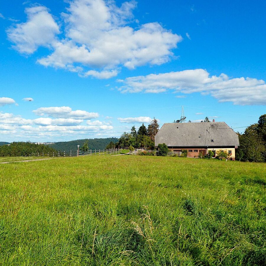 Hinterer Ramstein Berneck 13