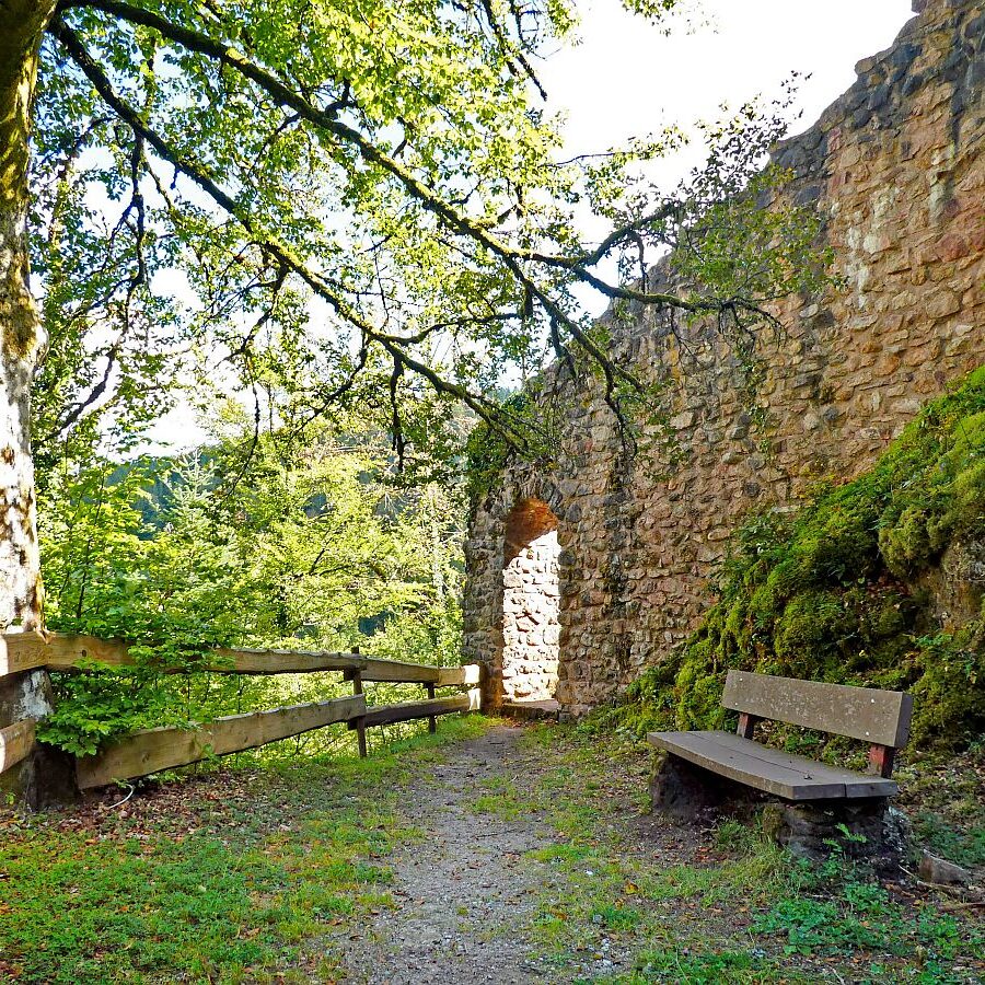Ruine Falkenstein 01