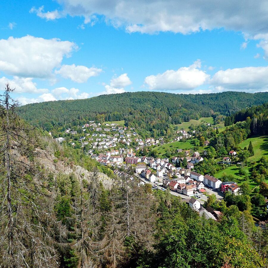 Ruine Falkenstein 06
