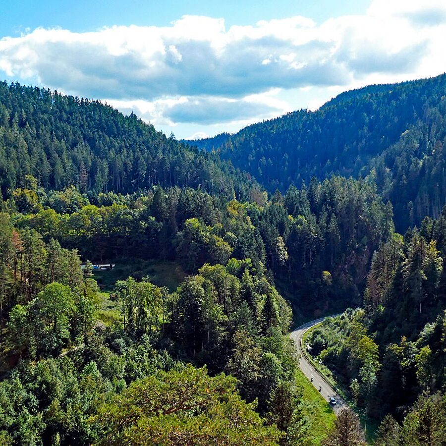 Ruine Falkenstein 08