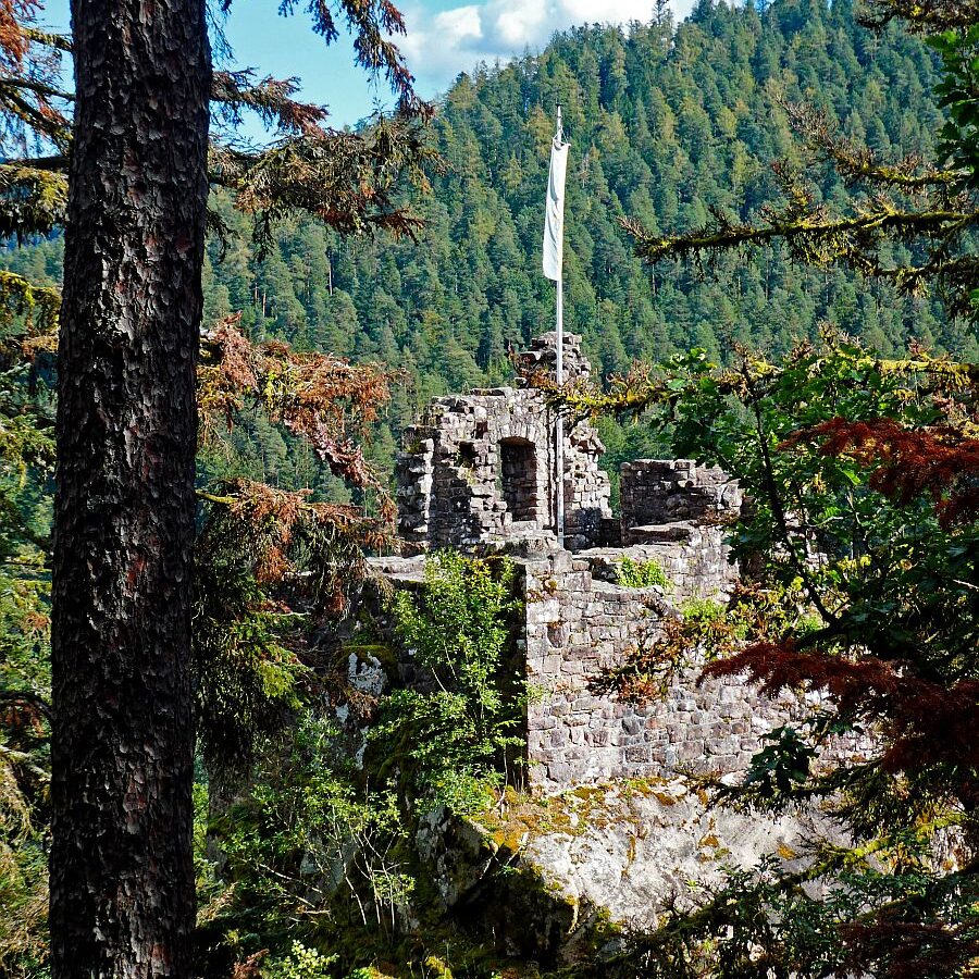 Ruine Falkenstein 11
