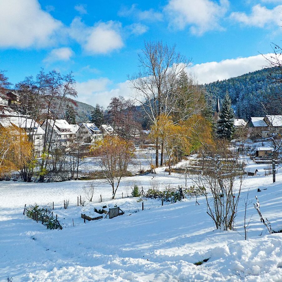 Erster Schnee am dorfberg und im Eichbach 01