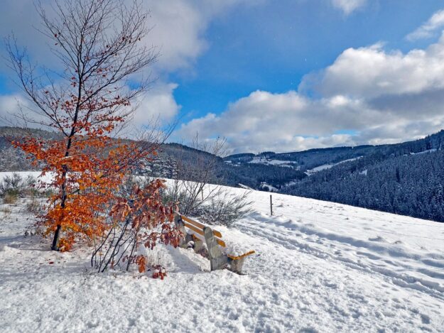 Erster Schnee am dorfberg und im Eichbach 04 Erster Schnee am dorfberg und im Eichbach 04