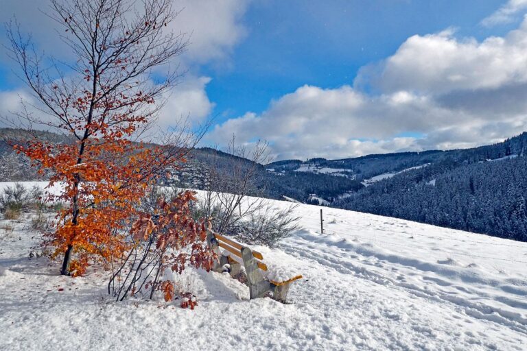 Erster Schnee am dorfberg und im Eichbach 04