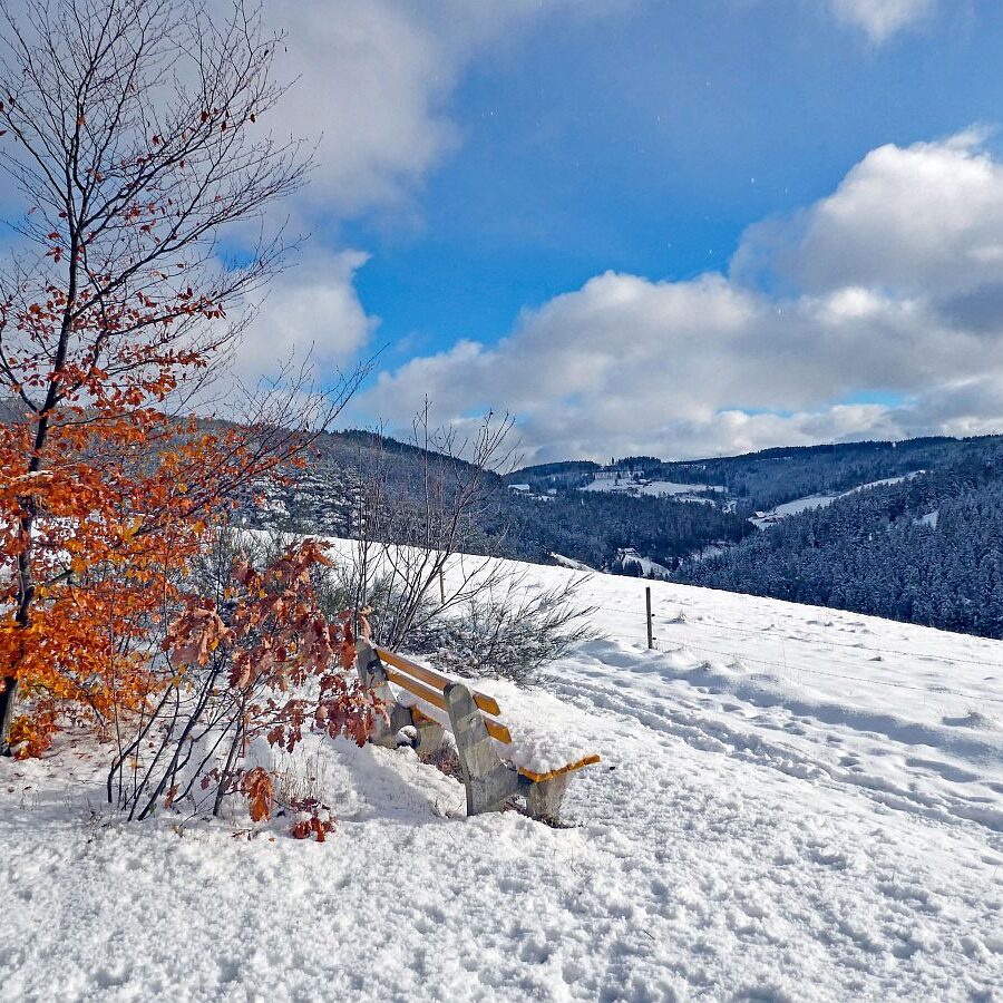 Erster Schnee am dorfberg und im Eichbach 04