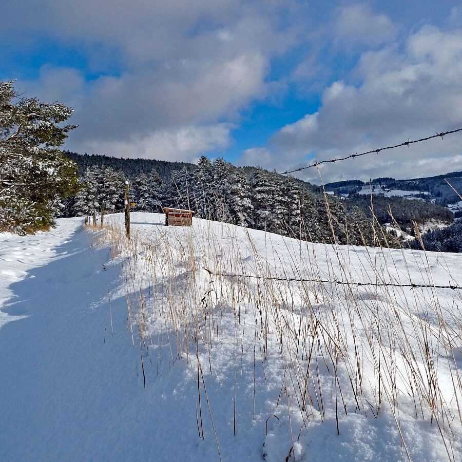 Erster Schnee am dorfberg und im Eichbach 05