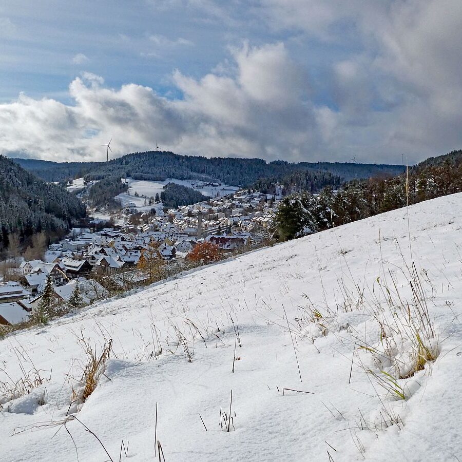 Erster Schnee am dorfberg und im Eichbach 08