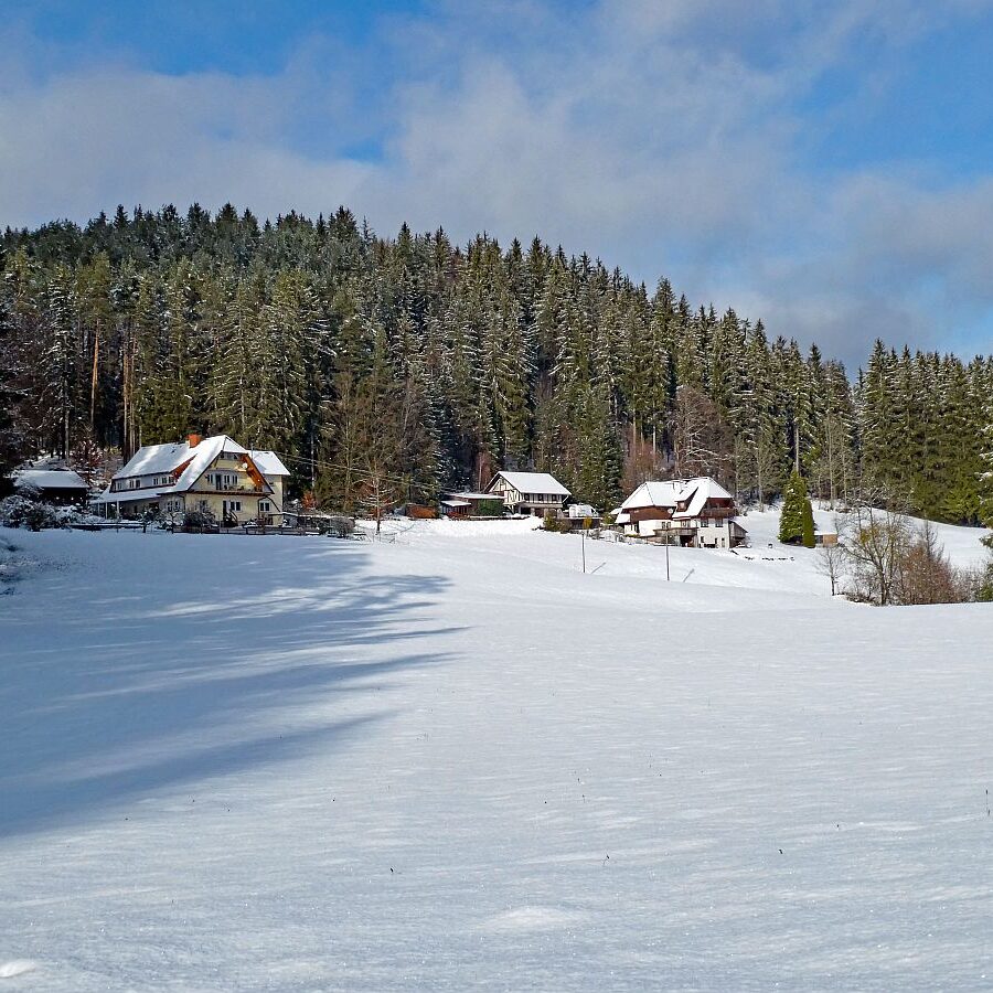 Erster Schnee am dorfberg und im Eichbach 09