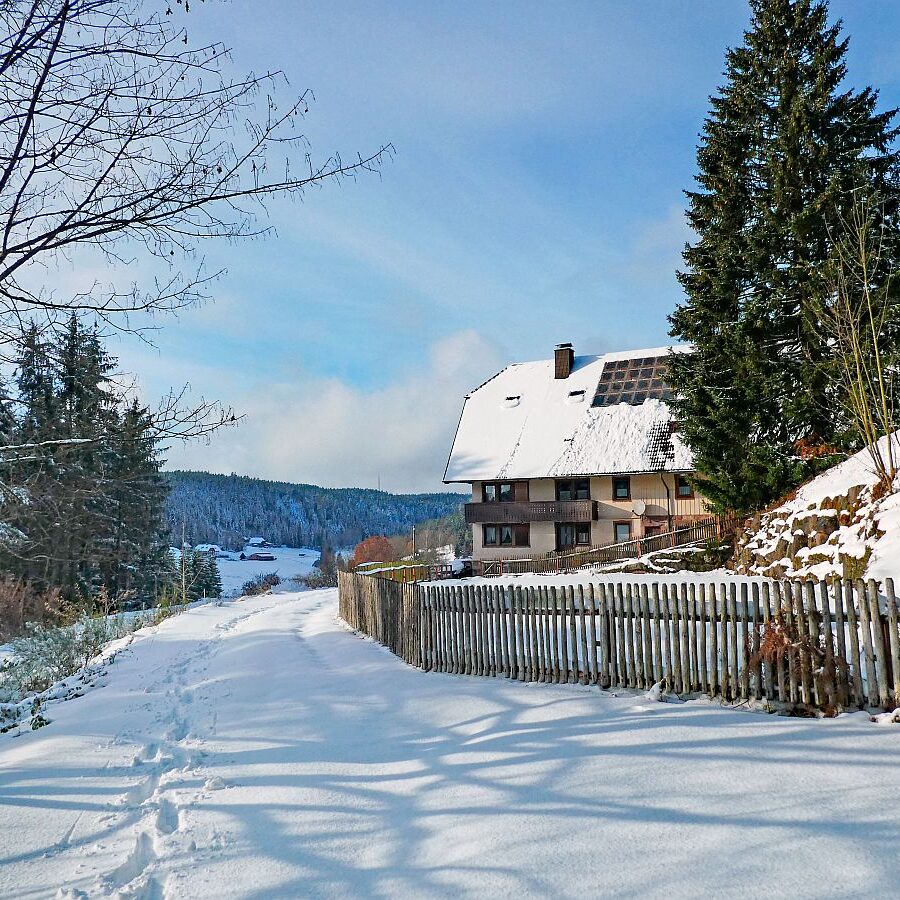 Erster Schnee am dorfberg und im Eichbach 12