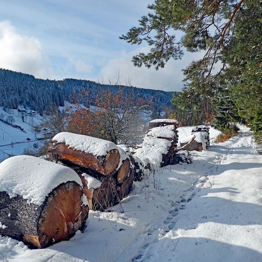 Erster Schnee am dorfberg und im Eichbach 13