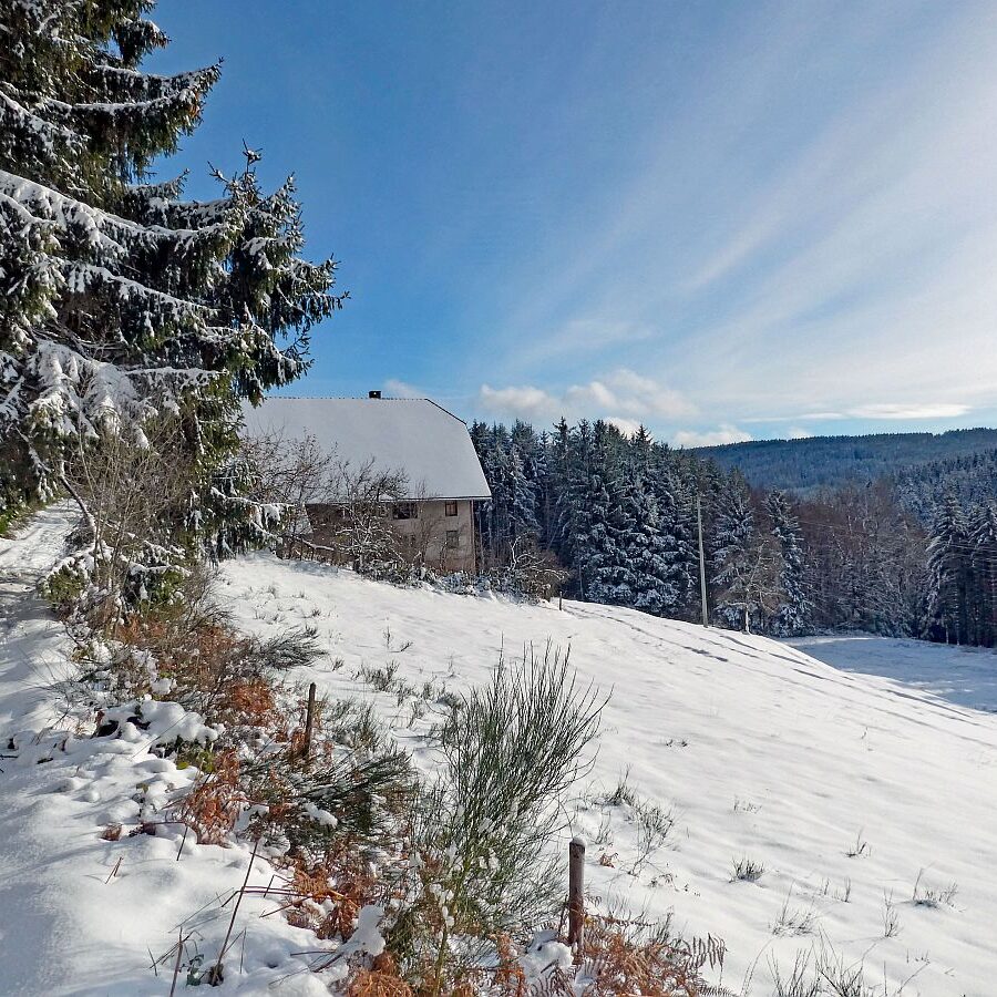Erster Schnee am dorfberg und im Eichbach 14