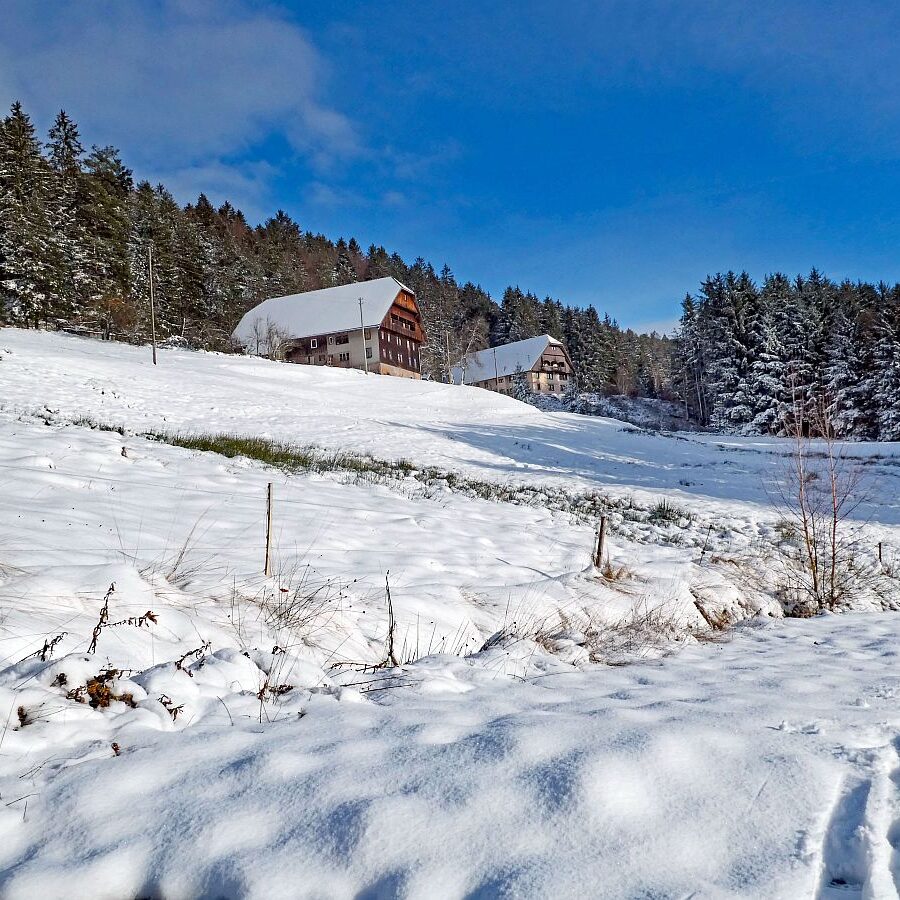 Erster Schnee am dorfberg und im Eichbach 15
