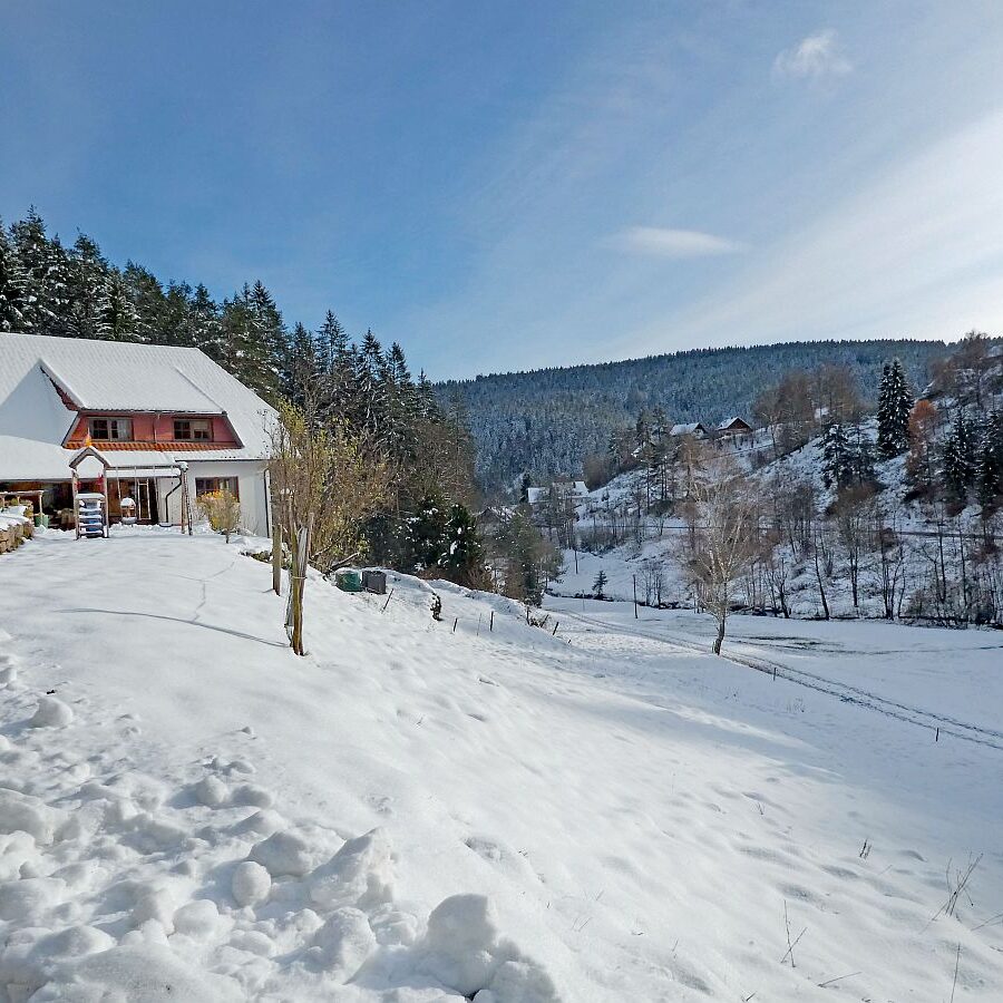 Erster Schnee am dorfberg und im Eichbach 16