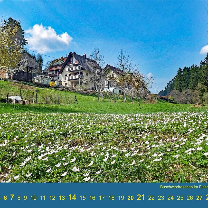 Kalender Tennenbronn 2024 05