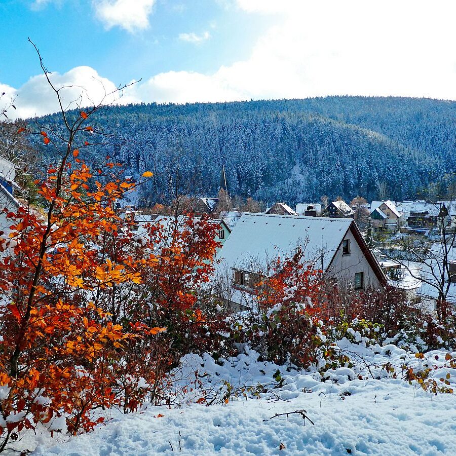 Früher Schnee mit rotem buchenlaub 03