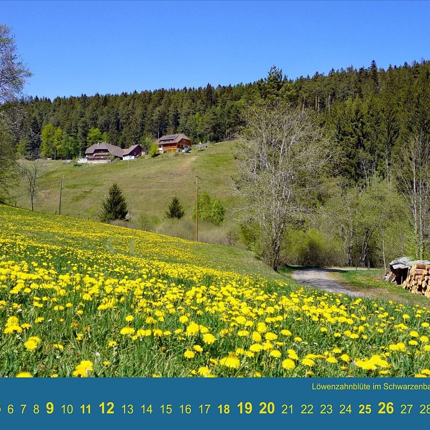 Kalender Tennenbronn 2024 06