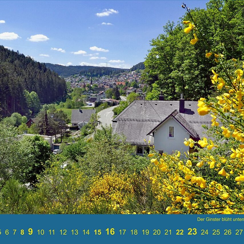 Kalender Tennenbronn 2024 07