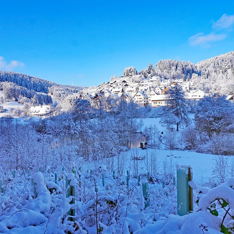 Schnee in Tennenbronn Mittelberg Hub Unterschiltach Mulpenbühl Altenburg 01
